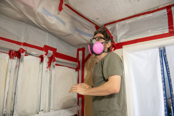 Best Mold Prevention Services  in Norman Park, GA